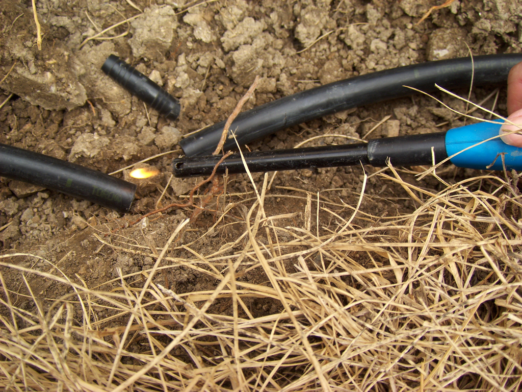 Howto Move a Sprinkler Head Sundrops and Starflowers