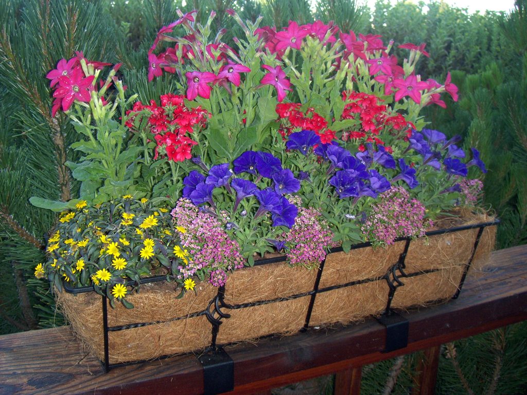 Deck Rail Planter
