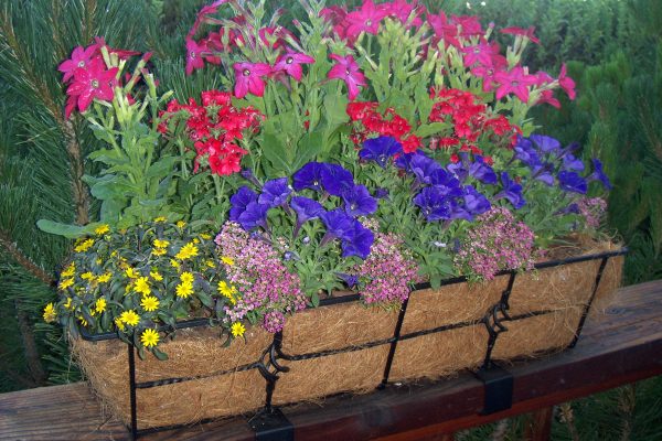 Deck Rail Planter
