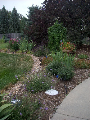 Fort Collins DIY Garden