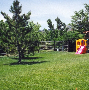 The Play Area Before