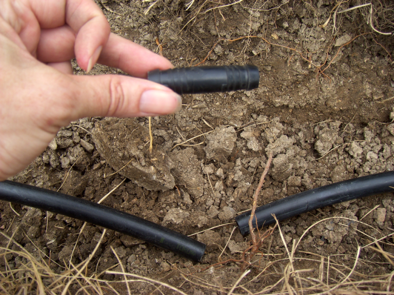 Howto Move a Sprinkler Head Sundrops and Starflowers