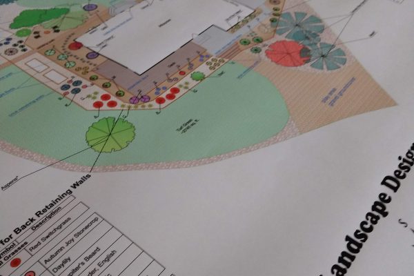 Fort Collins landscape designer