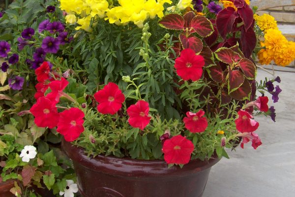 Pretty Fall container
