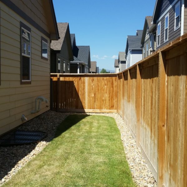 a narrow yard space with fence and grass