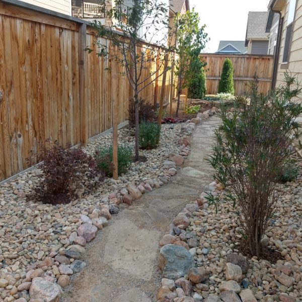 narrow yard bordered by house and fence with path and plants