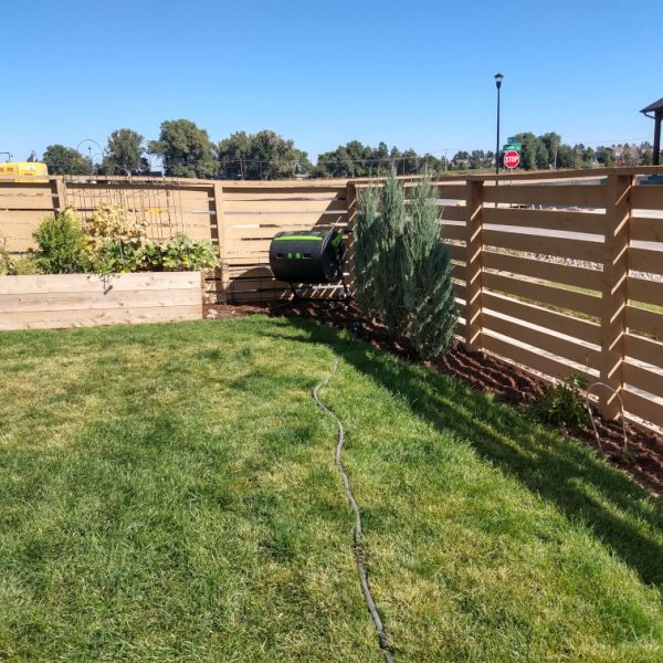 fenced in yard with green turf grass a vegetable garden on one side and columnar junipers on the other