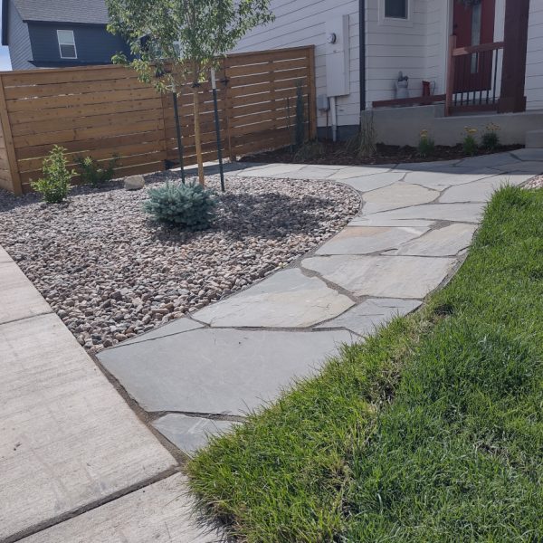 gray slate garden path, small tree, front door
