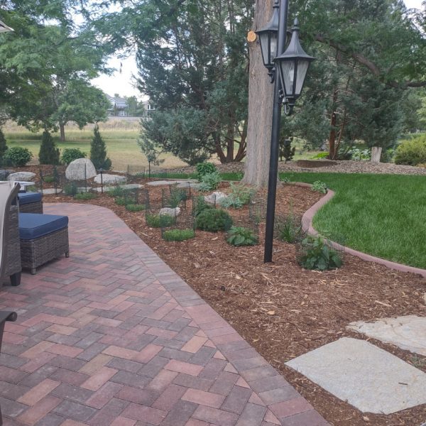 edge of patio, step stones, garden with plants and mulch
