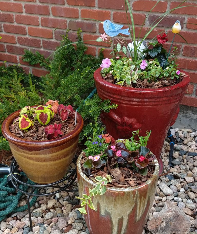 pretty container gardens