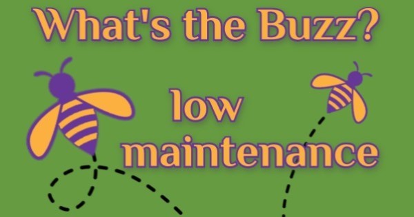 Buzzword: Low Maintenance