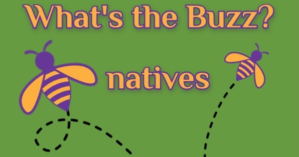 Buzzword: Natives