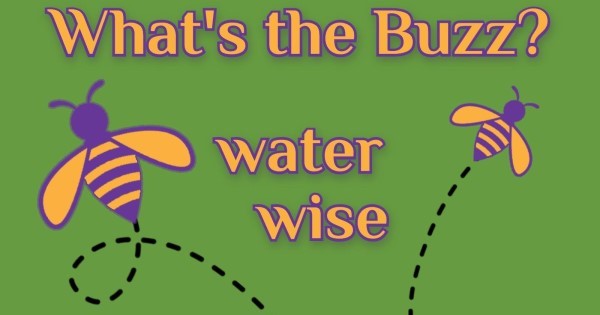 Buzzword: water wise