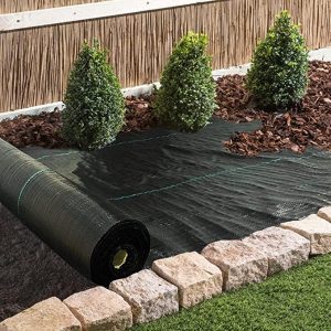 plants in landscape fabric