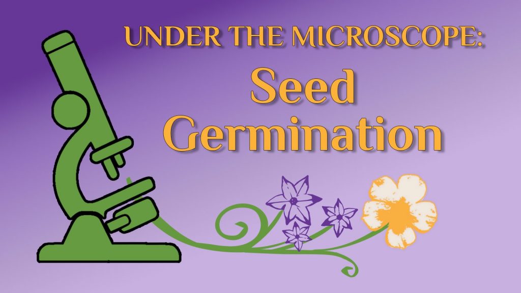 seed germination placard