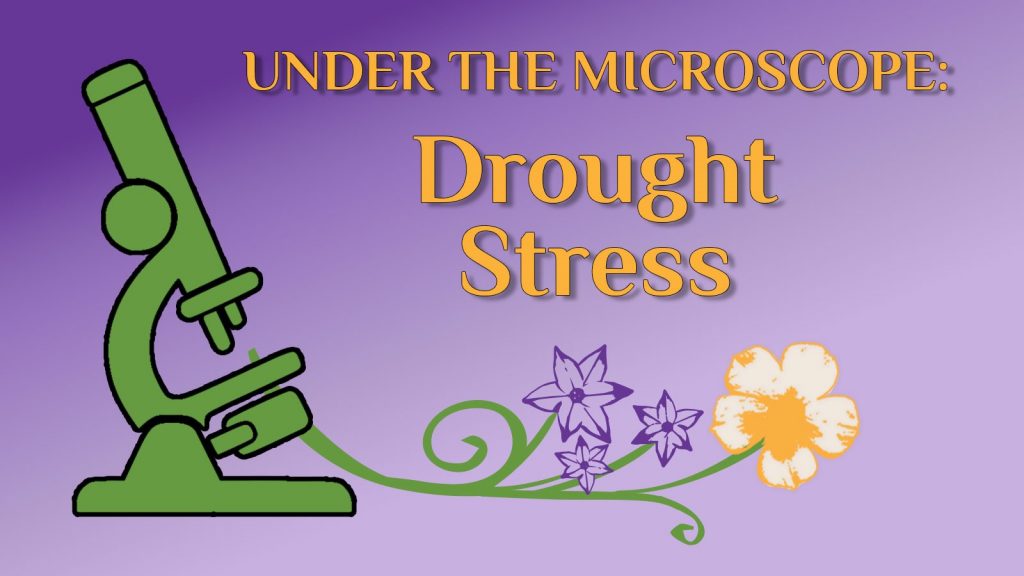drought stress placard