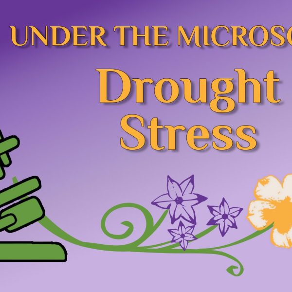 drought stress placard