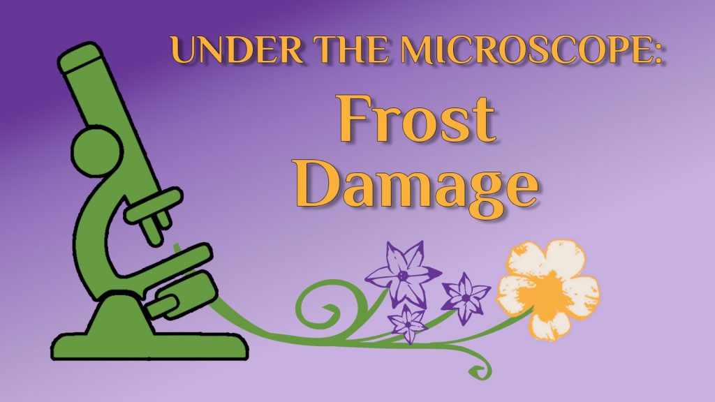 frost damage placard