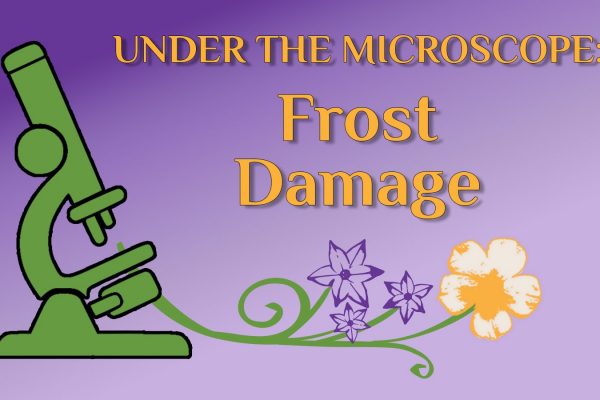 frost damage placard