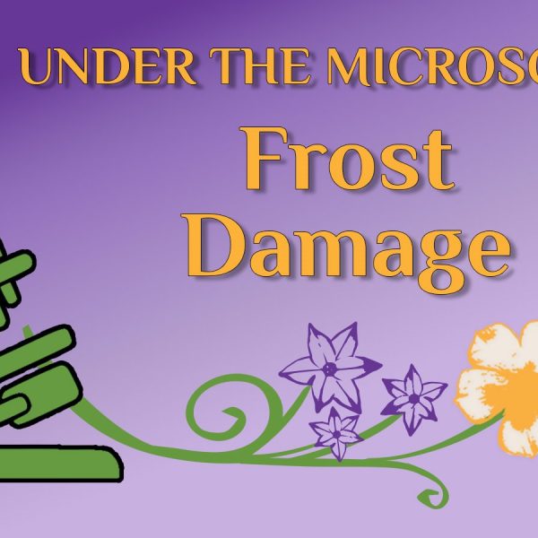 frost damage placard
