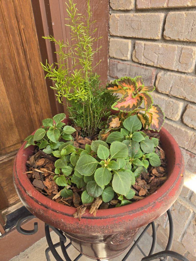 potted plants