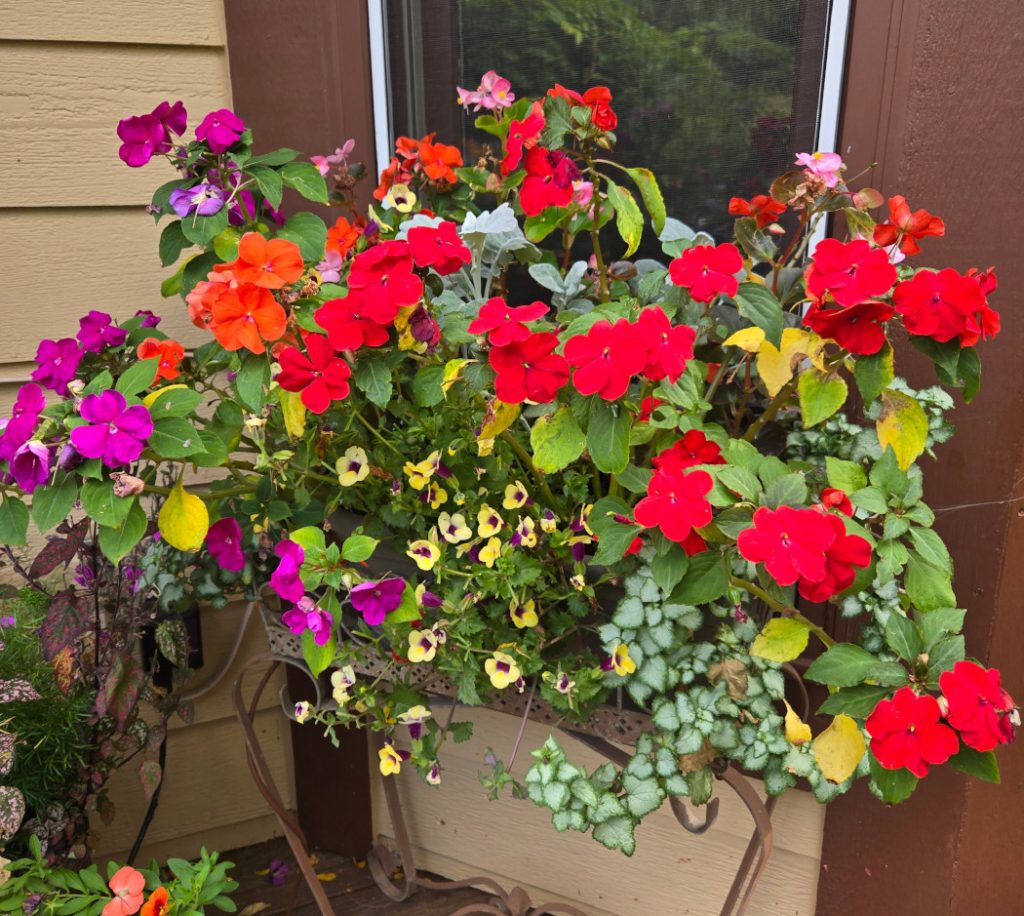 container garden